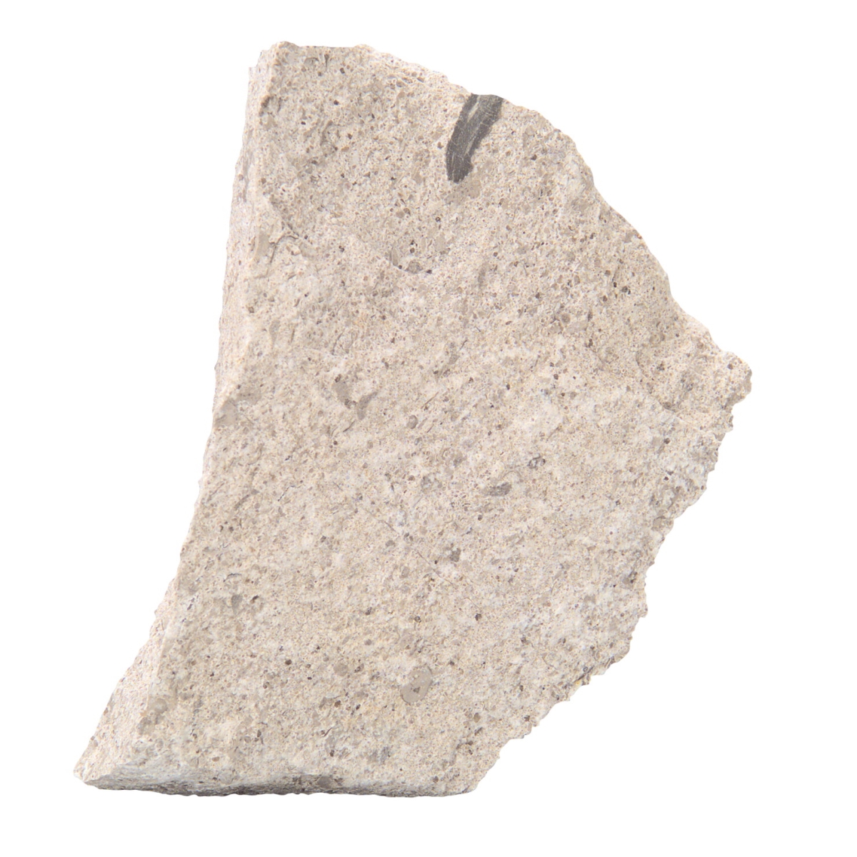586615 Student Granular Oolitic Limestone - Pack Of 10