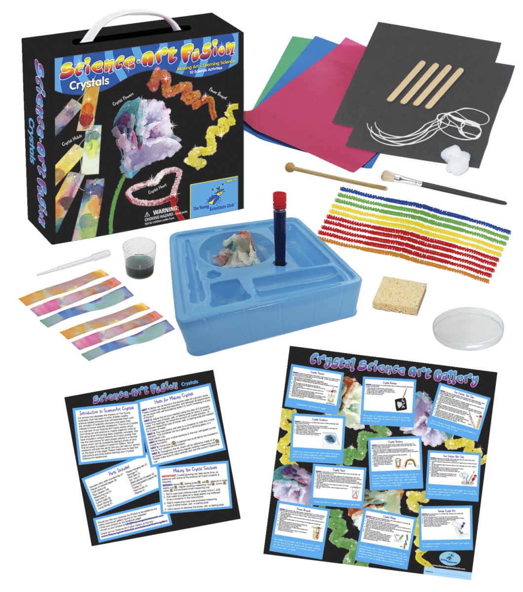 Young Scientists Club 1556790 Science-art Fusion Crystals Kit
