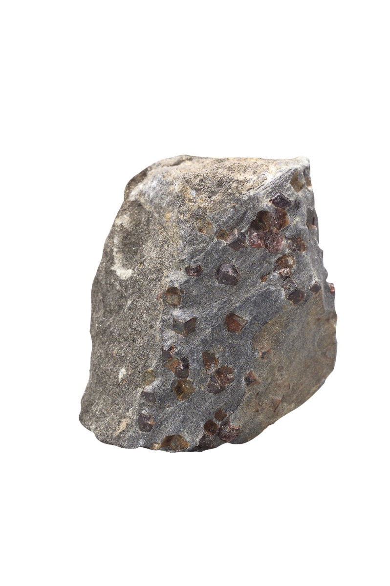 586441 Hand Sample Schist With Small Garnets In Mica