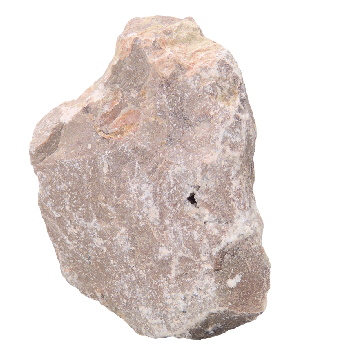 586594 Scott Resources Fine Grained Limestone
