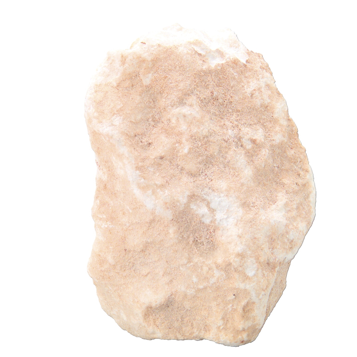 586978 Scott Resources Hand Sample Massive White Alabaster Gypsum