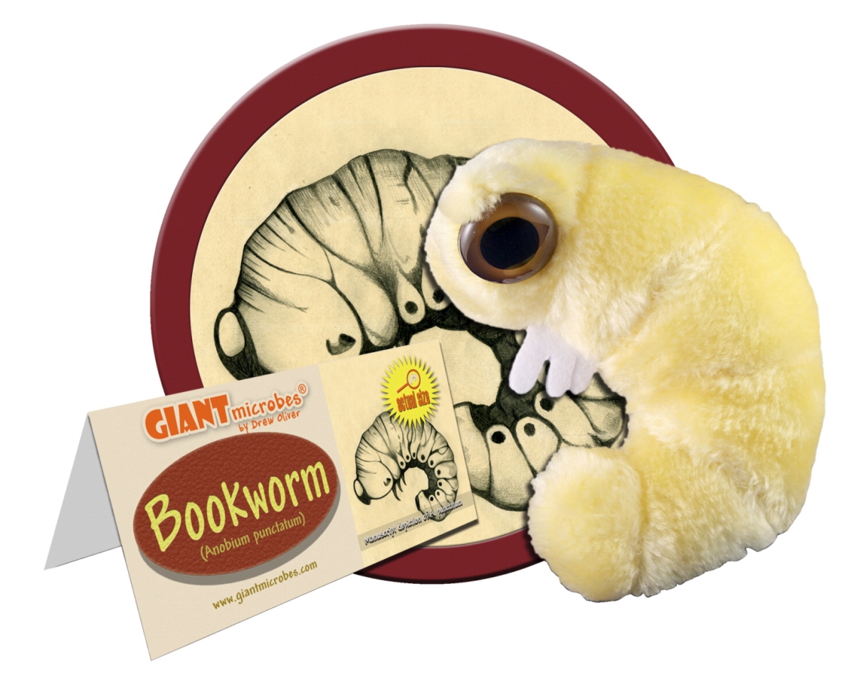 1590799 5 To 8 In. Bookworm Plush