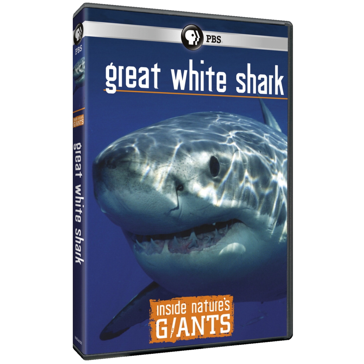 1534607 Distribution Great White Sharks Dvd - 60 Min