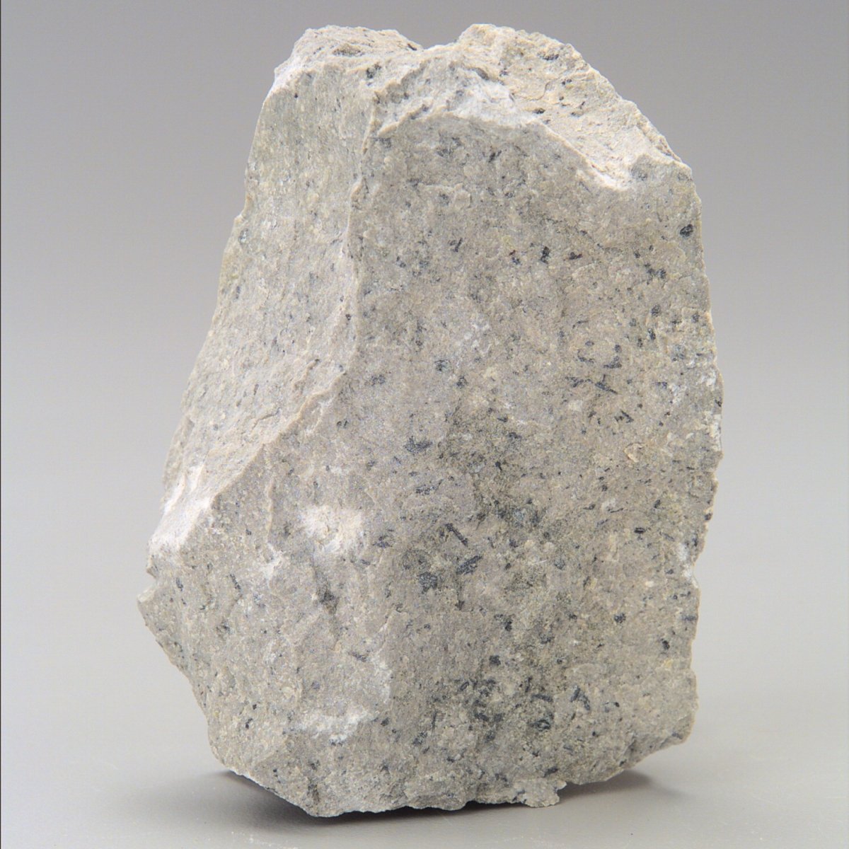 586180 Scott Resources Student Andesite Hornblende Phenocrysts - Pack Of 10