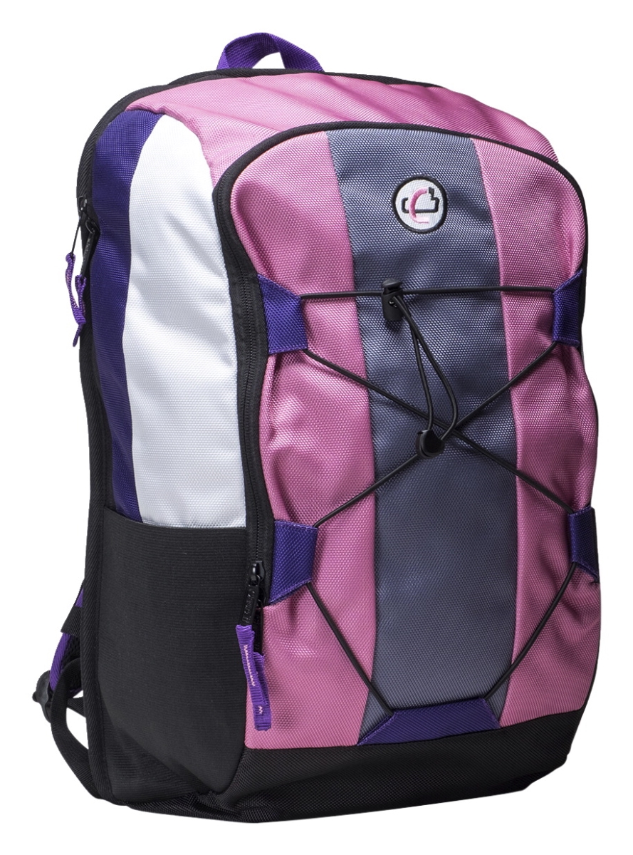 2004452 6.25 X 13 X 20 In. X-pack Backpack, Pink With Purple Trim
