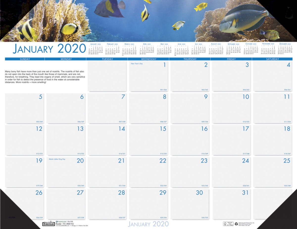 2002812 Compact 2020 Recycled Desk Pad Calendar - Earthscapes Sea Life