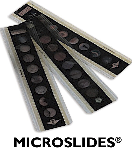 531342 Microslide Photomicrographs - Monocots & Dicots