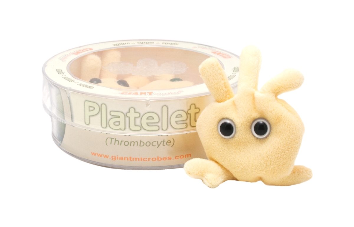 1490367 Platelet Petri Dish - 3 Mini Plush Microbes