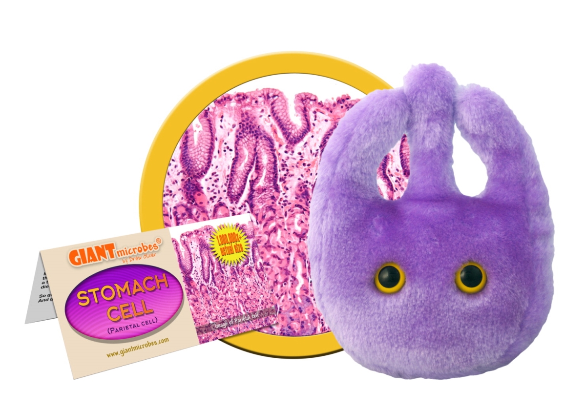 1590793 5 To 8 In. Stomach Cell Plush