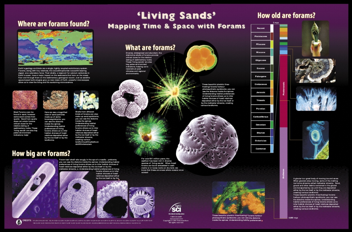 35-1031 23 X 35 In. Living Sands Laminated Poster