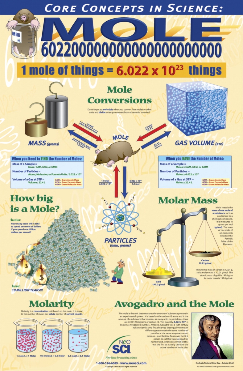 35-1161 23 X 35 In. Cornerstones Of Chemistry The Mole Laminated Poster