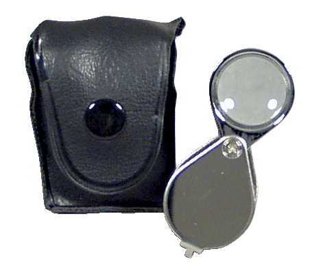 565576 10x Strength Doublet Magnifier With Case