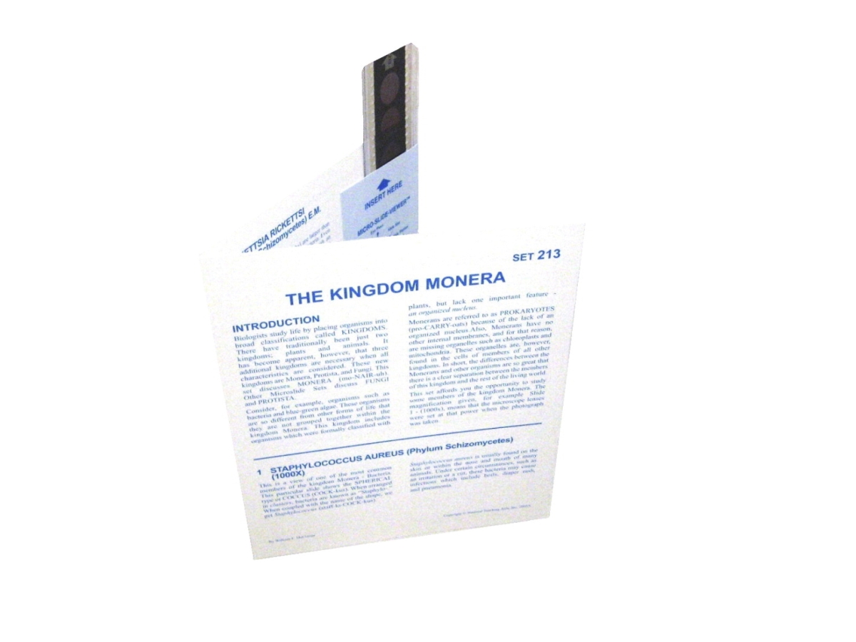 531374 Microslide Photomicrographs - Kingdom Monera