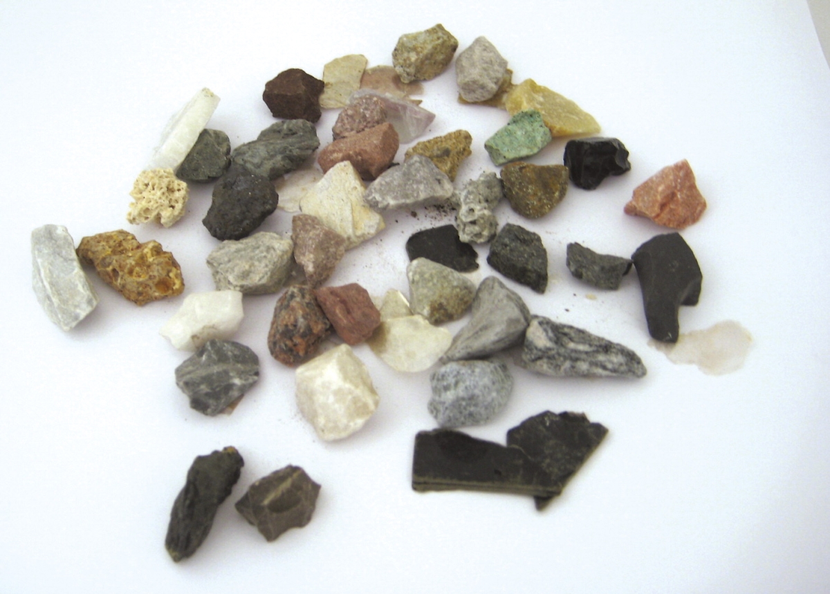 563897 Scott Resources Washington School Student Collection - Rocks & Minerals - Set Of 40