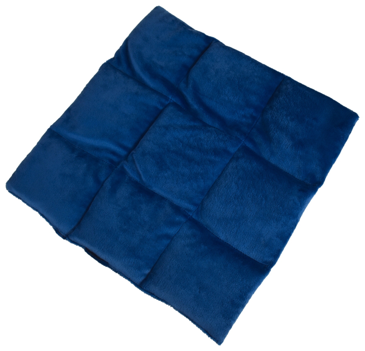 2005628 16 X 14 In. Weighted Lap Pad, Blue - 4 Lbs - Large