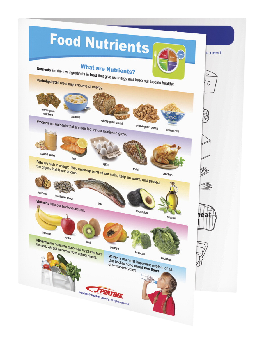 2013491 Food Nutrients Visual Learning Guide - Grade 1-4