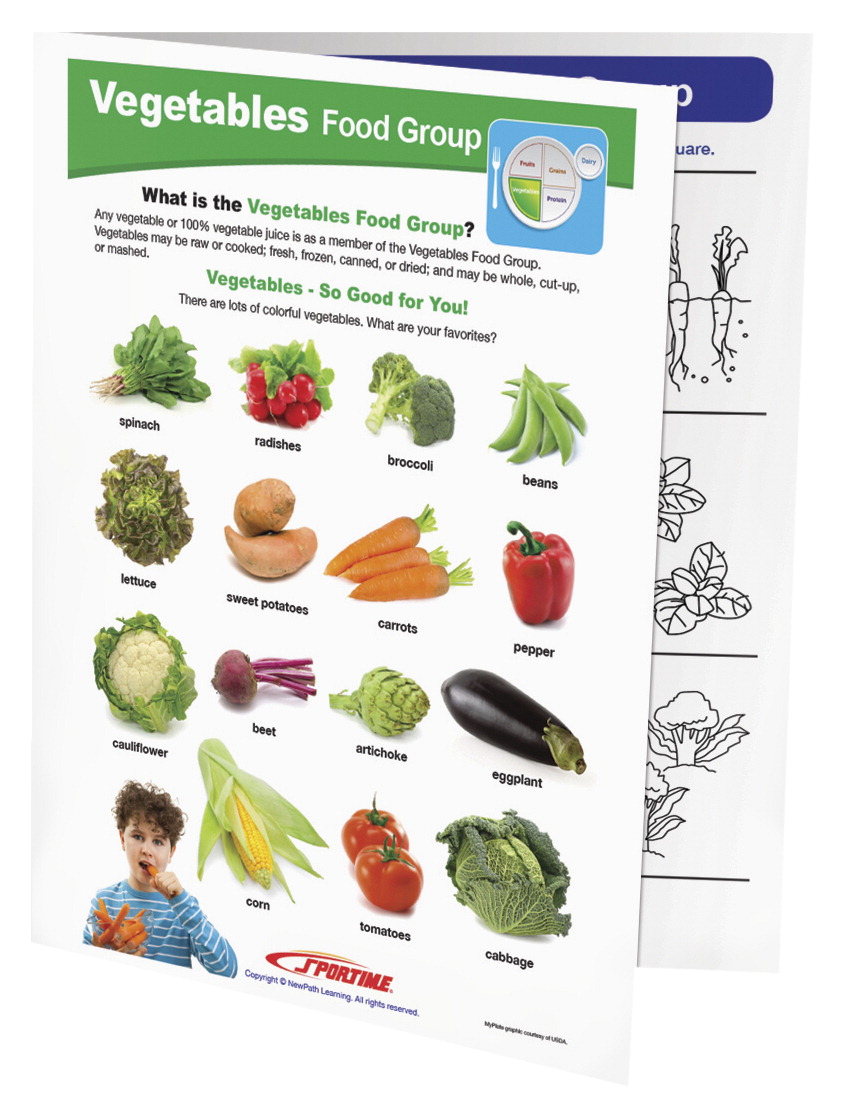 2013494 Vegetables Food Group Visual Learning Guide - Grade 1-4