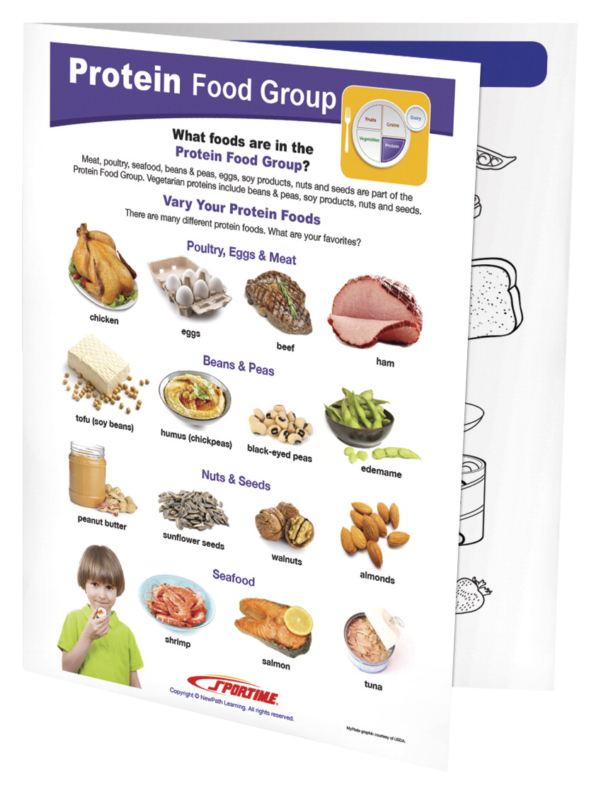 2013495 Protein Food Group Visual Learning Guide - Grade 1-4