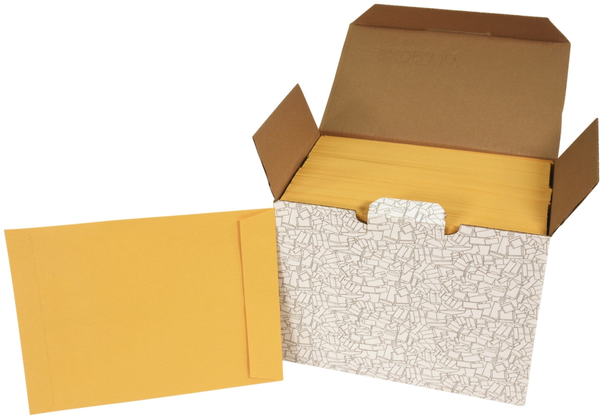 2013918 9 X 12 In. No Clasp Catalog Envelopes, Kraft - Pack Of 250
