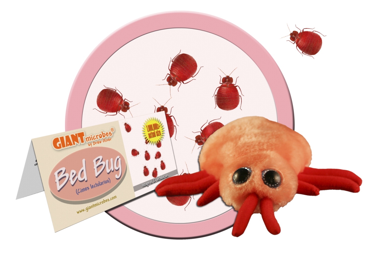 1590798 5 To 8 In. Bed Bug Plush