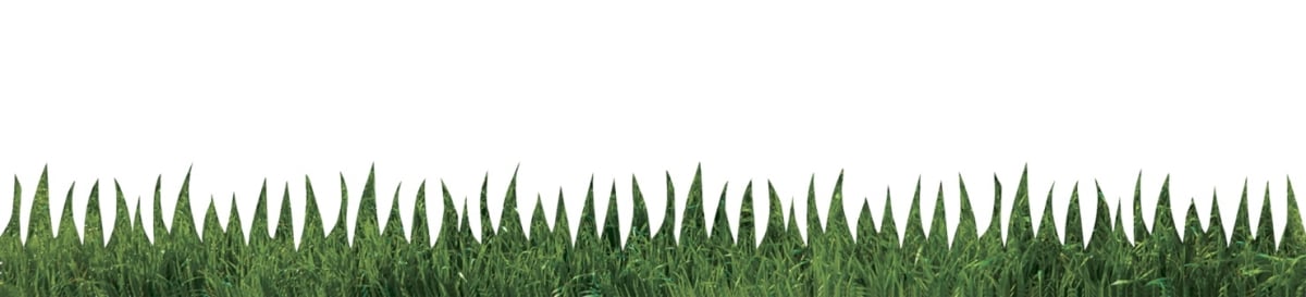 2004302 3 X 36 In. Natural Grass Border - 12 Strips