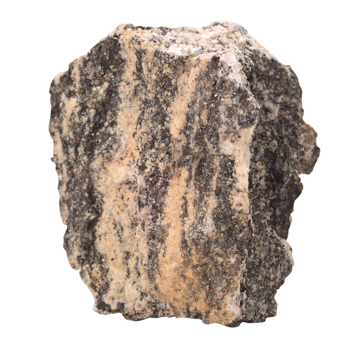 586402 Scott Resources Student Coarse-grained Banded Gneiss - Pack Of 10