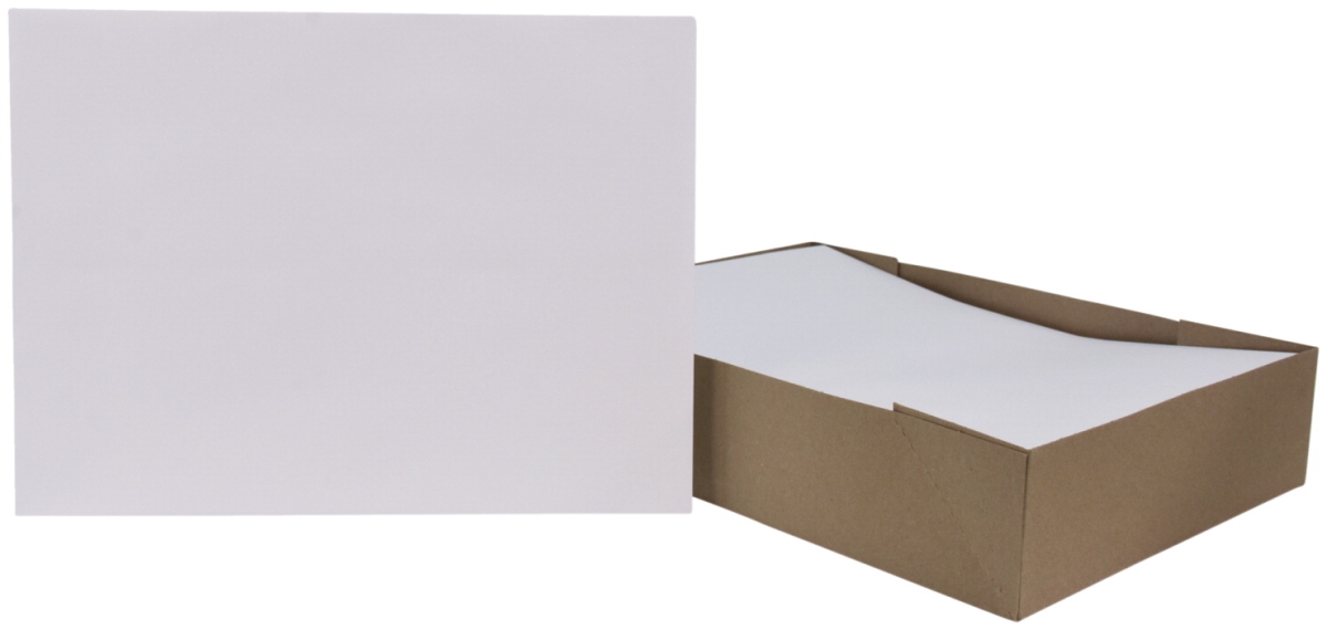 2013924 9 X 12 In. No Clasp Catalog Envelopes, White - Pack Of 100