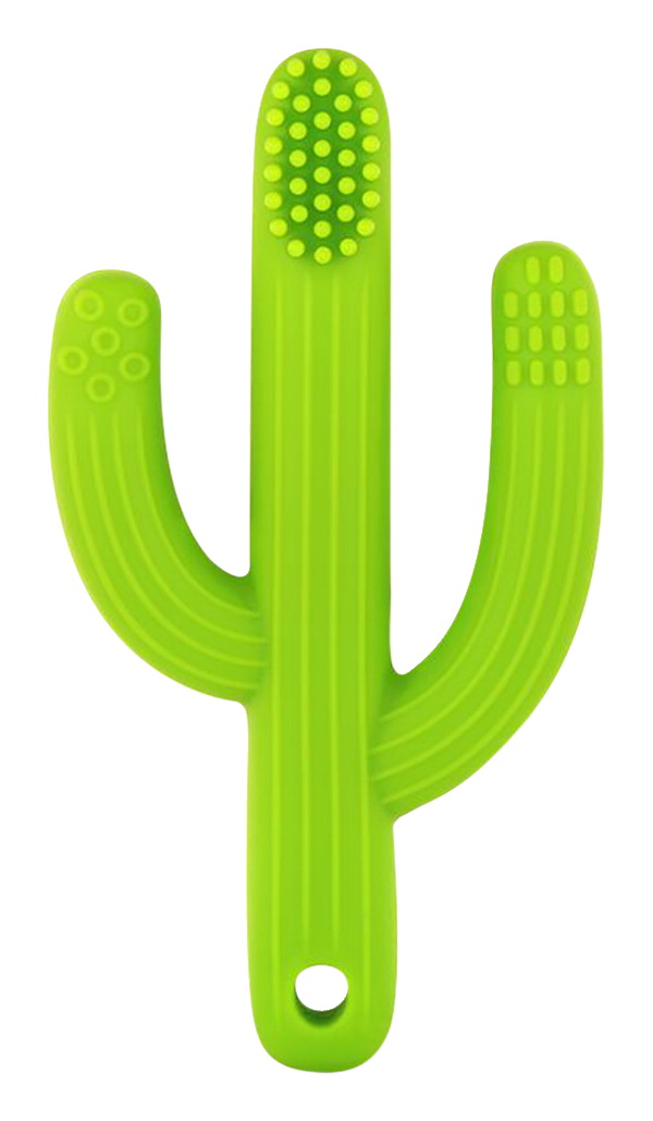 2023299 Cactus Teething Toothbrush, Assorted Color - 3.75 X 2.25 X 0.75 In.