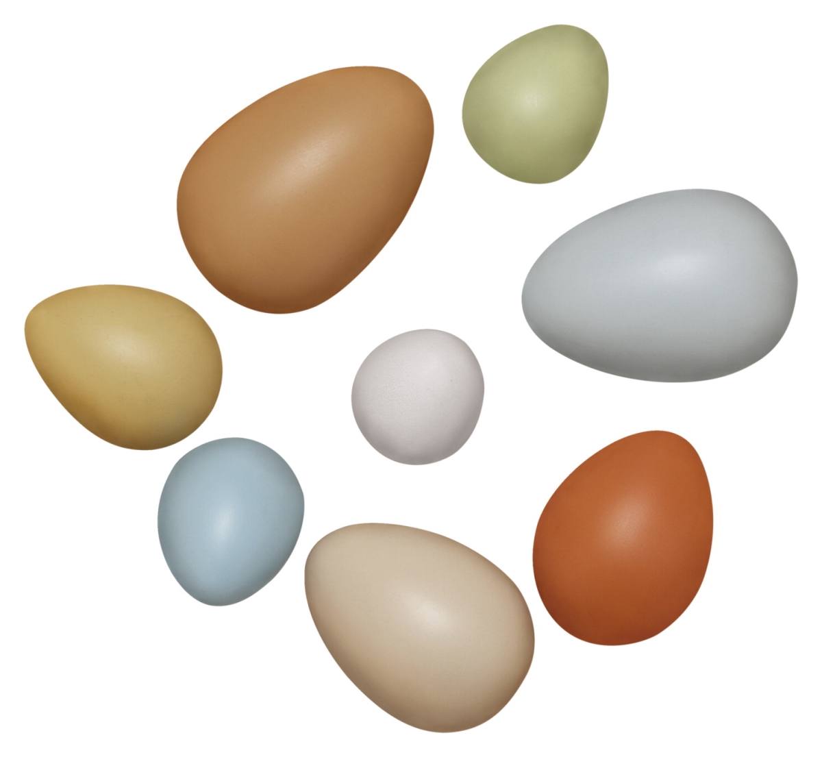 2024461 Size Sorting Eggs - Set Of 8