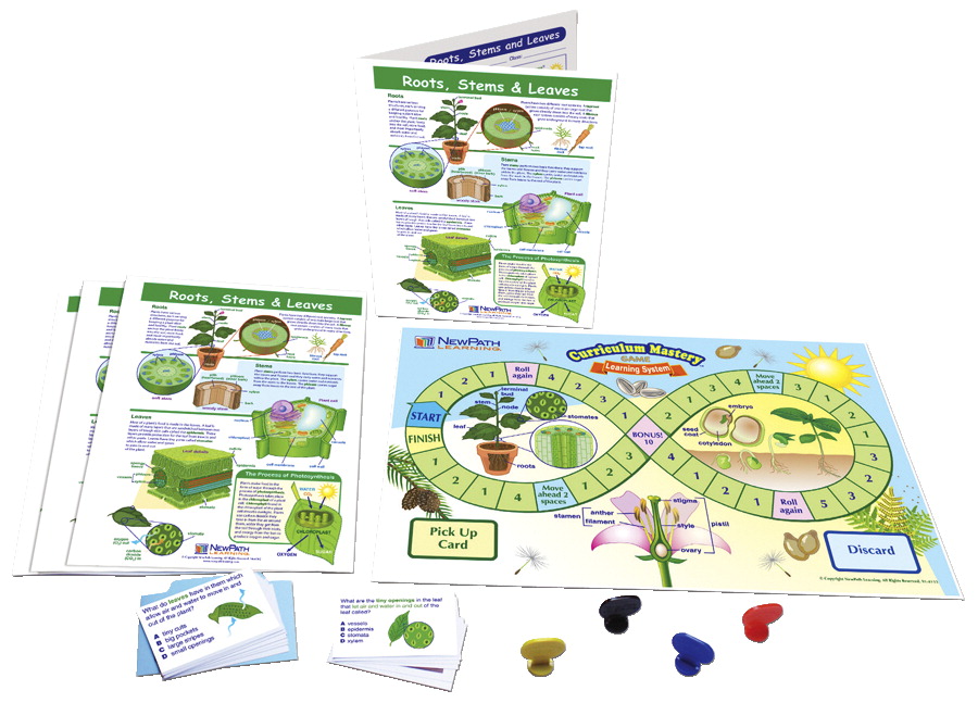 Game Roots Stems & Leaves Learning Center, Grades 3-5