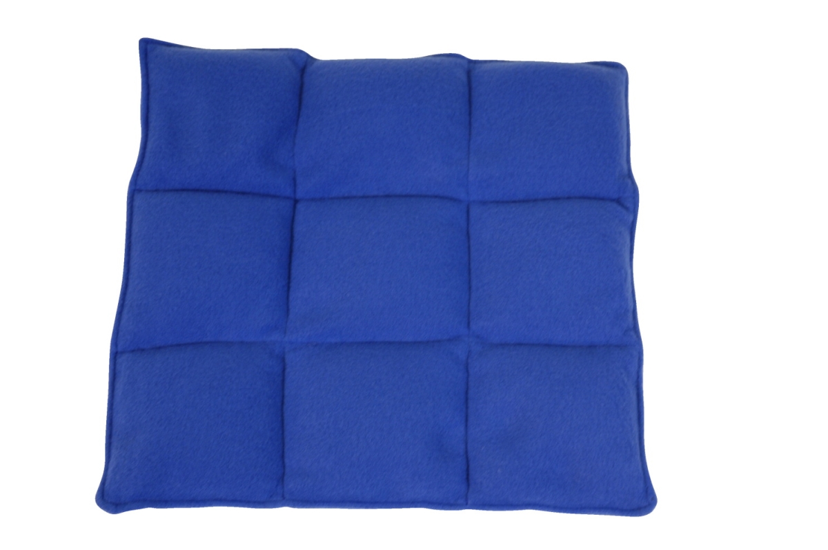 1543206 19 X 13 In. Lap Pad, Large - Blue