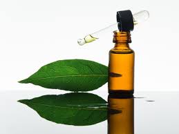 Healthy Alternatives 19a0500 Natural Bay Leaf Essential Oil