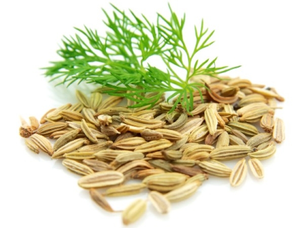 Healthy Alternatives 10a4100 Organic Dill Seed