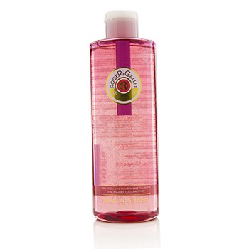 EAN 3337875542692 product image for Roger & Gallet 217616 13.5 oz Gingembre Rouge Energising & Hydrating Shower Gel | upcitemdb.com