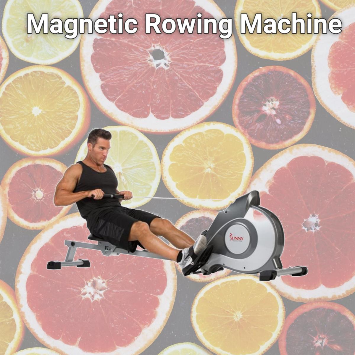 Picture of Sunny Health & Fitness SF-RW5515 Magnetic Rowing Machine