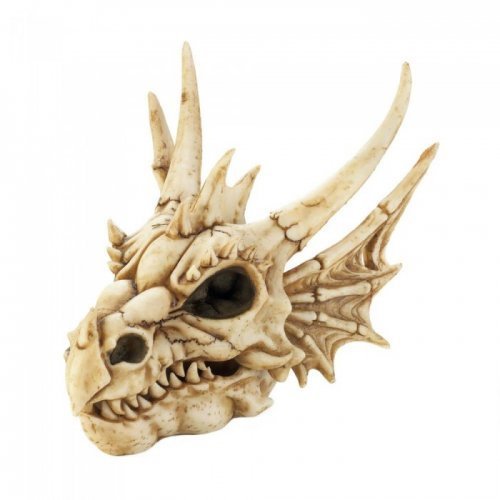 10018449 Dragon Skull Box