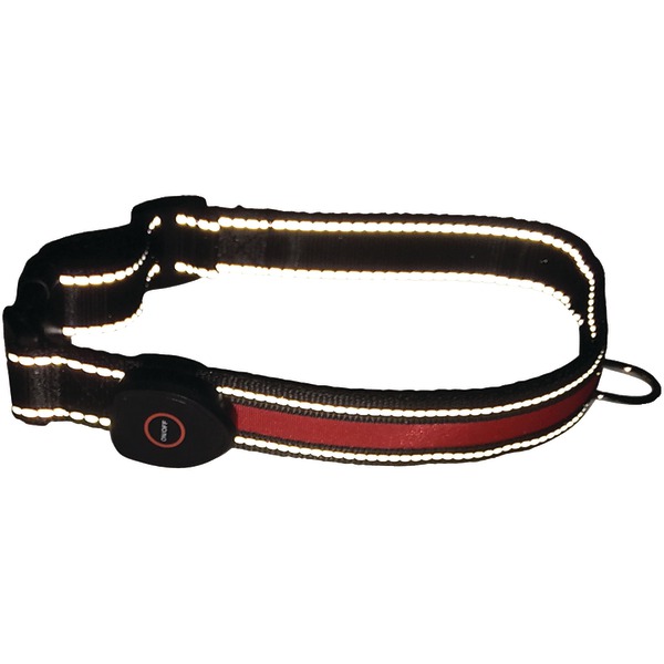 Ra49907 Led Dog Collar - Large