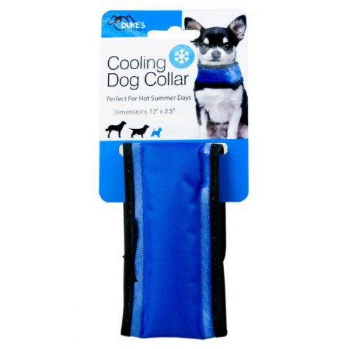 Kl22742 Small Cooling Dog Collar