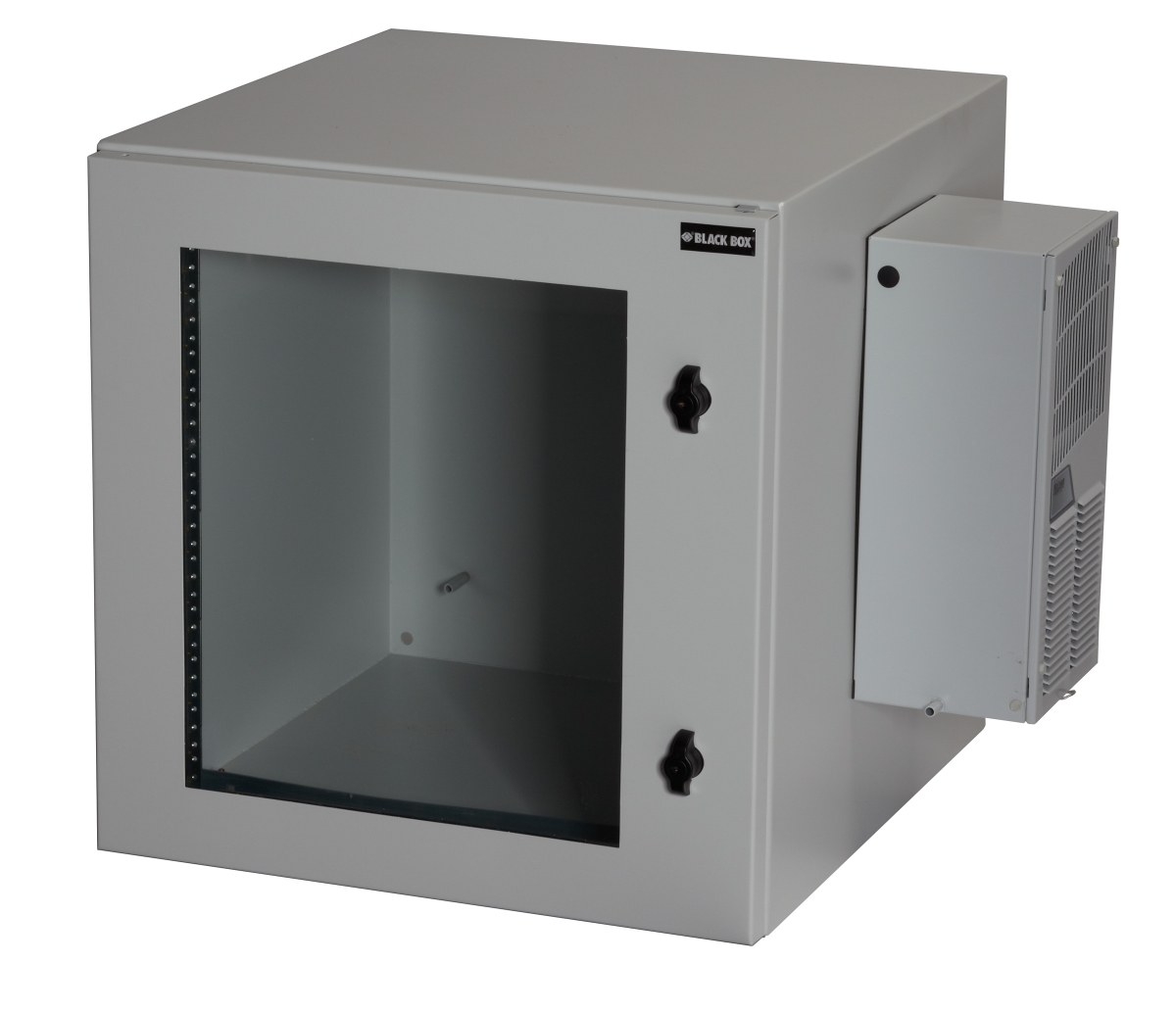 Black Box Rmw5130ac-r2 Climatecab Double Hinge Wallmount Cabinet