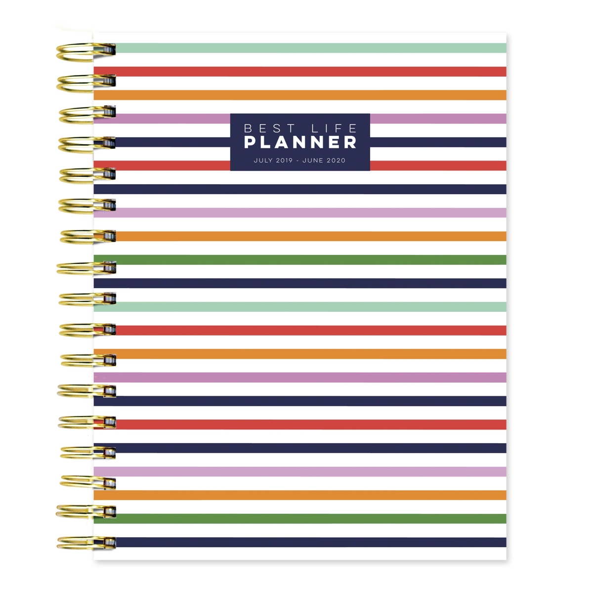 20-5213a July 2019 - June 2020 Preppy Stripe Best Life Daily Weekly Monthly Luxe Planner