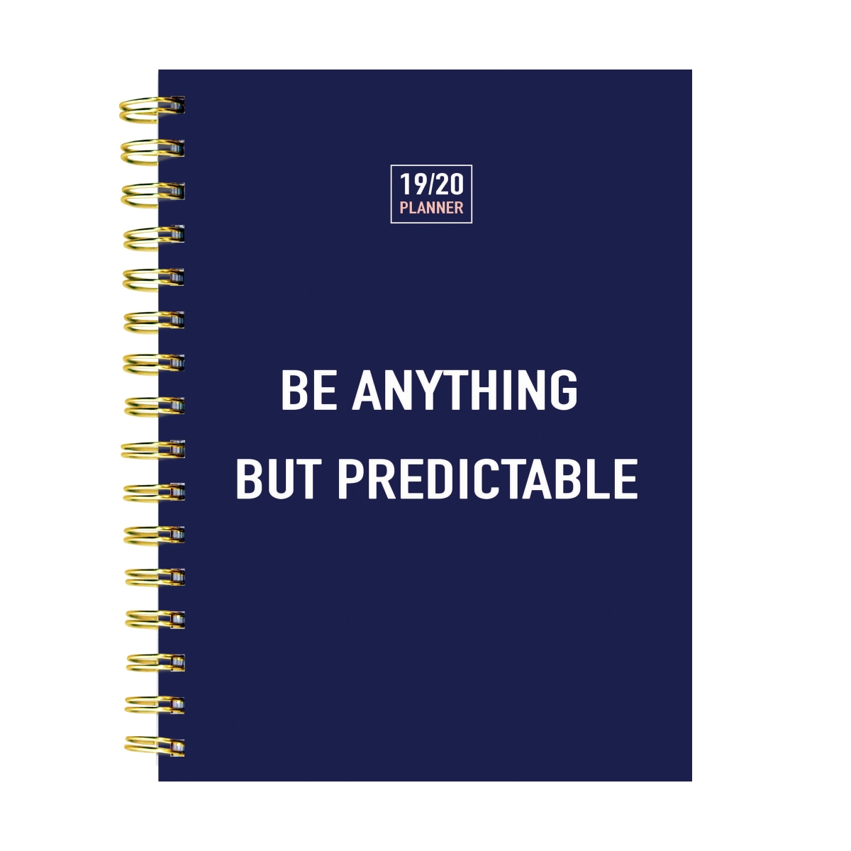 20-9037a July 2019 - June 2020 Not So Predictable Navy Medium Daily Weekly Monthly Planner