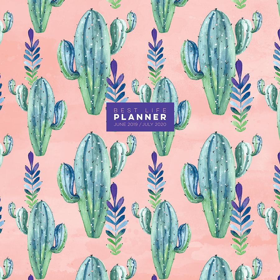 20-4705a July 2019 - June 2020 Prickly Pink Cactus Best Life Large Monthly Planner