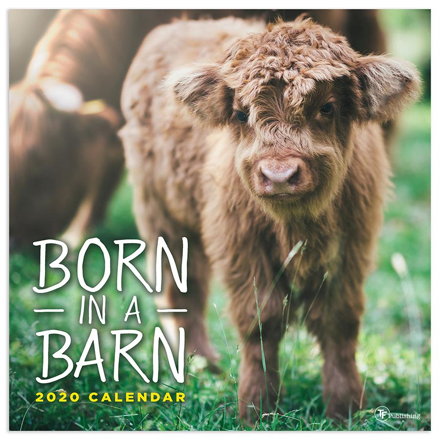 20-1004 12 X 12 In. 2020 Born In A Barn Wall Calendar