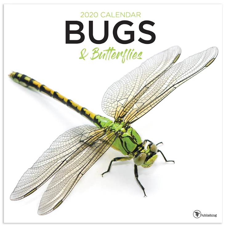 20-1053 12 X 12 In. 2020 Bugs & Butterflies Wall Calendar