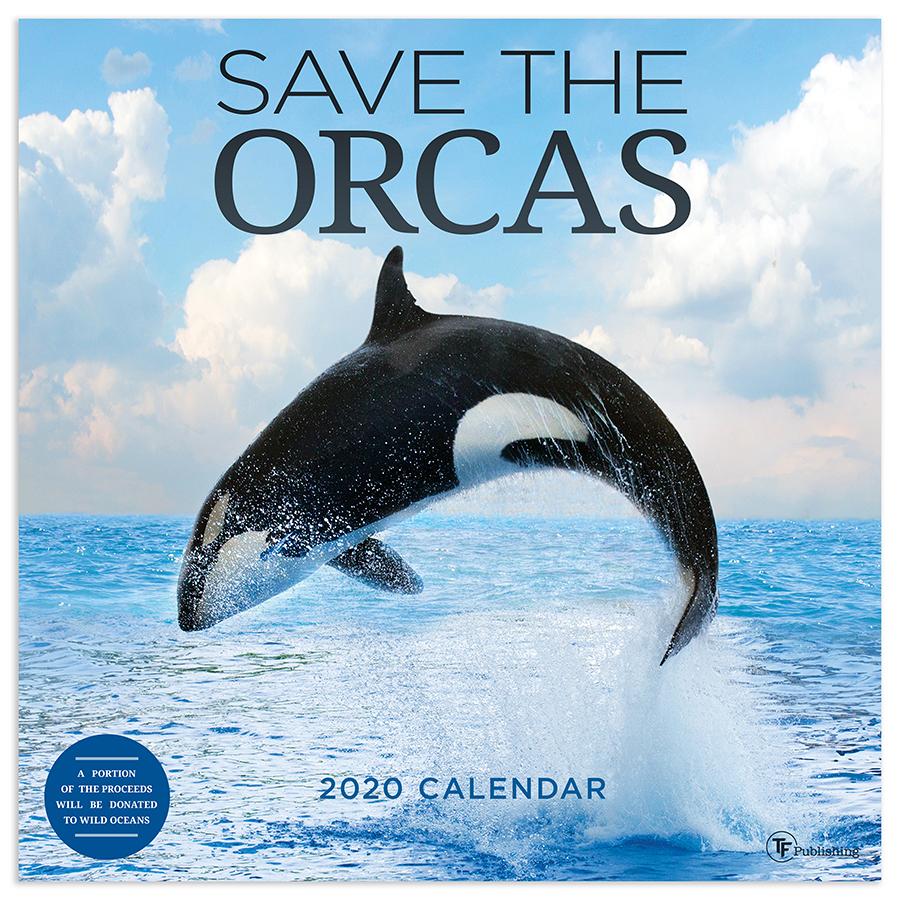 20-1186 12 X 12 In. 2020 Save The Orcas Wall Calendar