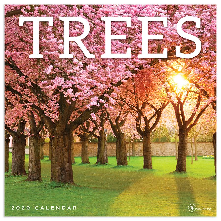 20-1109 12 X 12 In. 2020 Trees Wall Calendar