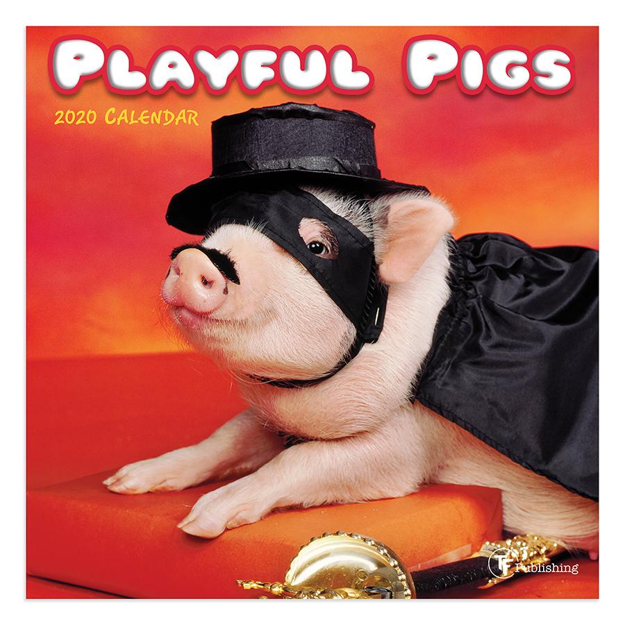 20-2035 7 X 7 In. 2020 Playful Pigs Mini Calendar