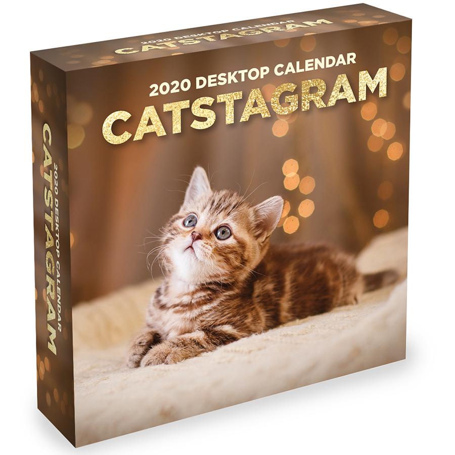 20-3013 5.5 X 5.5 In. 2020 Catstagram Daily Desktop Calendar