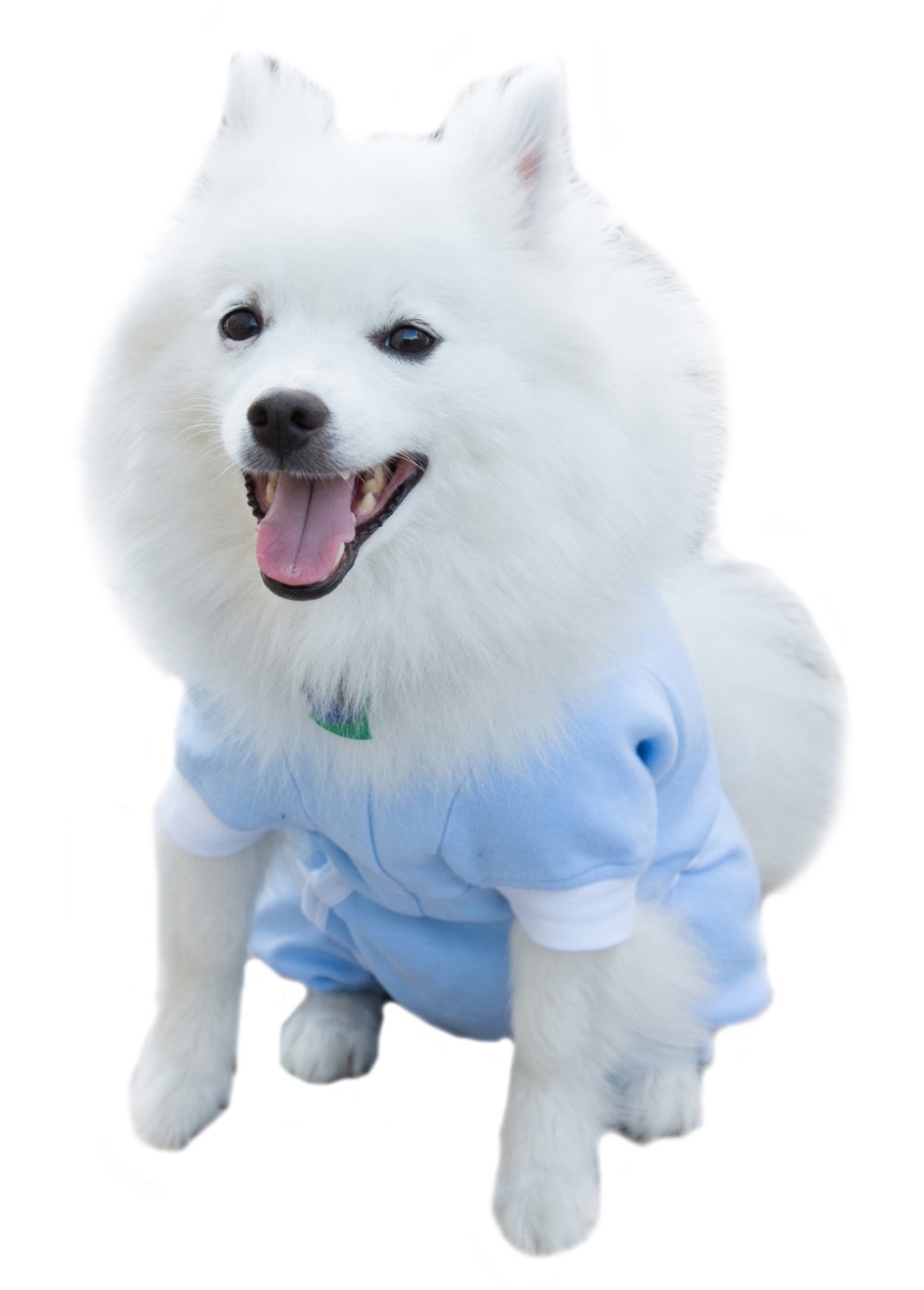 Xs Adj Fit Cover Me Ss Blue Adjustable Fit Step-into With Short Sleeve For Pets, Blue - Extra Small