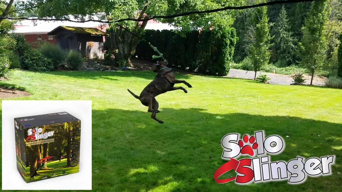 Solo Slinger Zipline Dog Toy 35 To 50 Feet Long